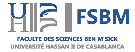 DLR Logo